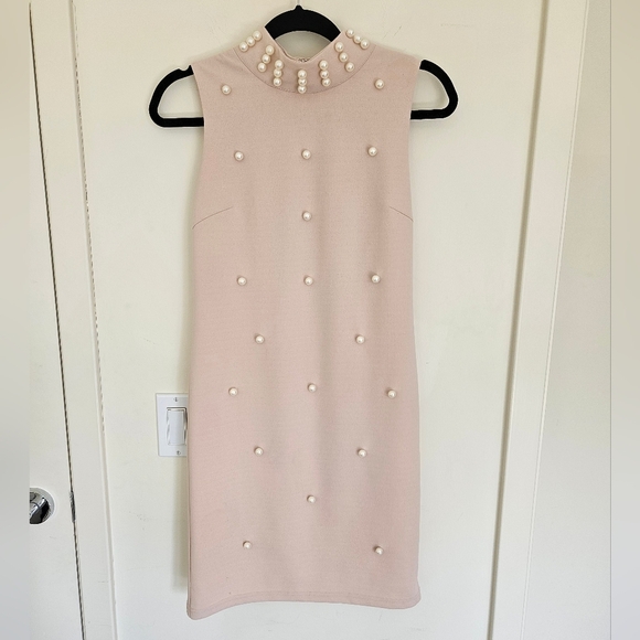Ina Blush Sheath Dress with Pearls NWT - Picture 4 of 16